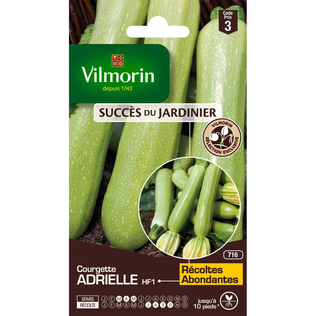 Sachet graines Courgette ADRIELLE HF1