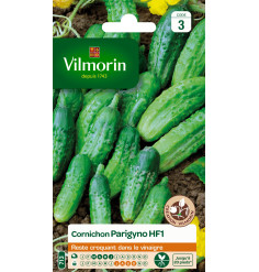 Sachet graines Cornichon Parygino HF1