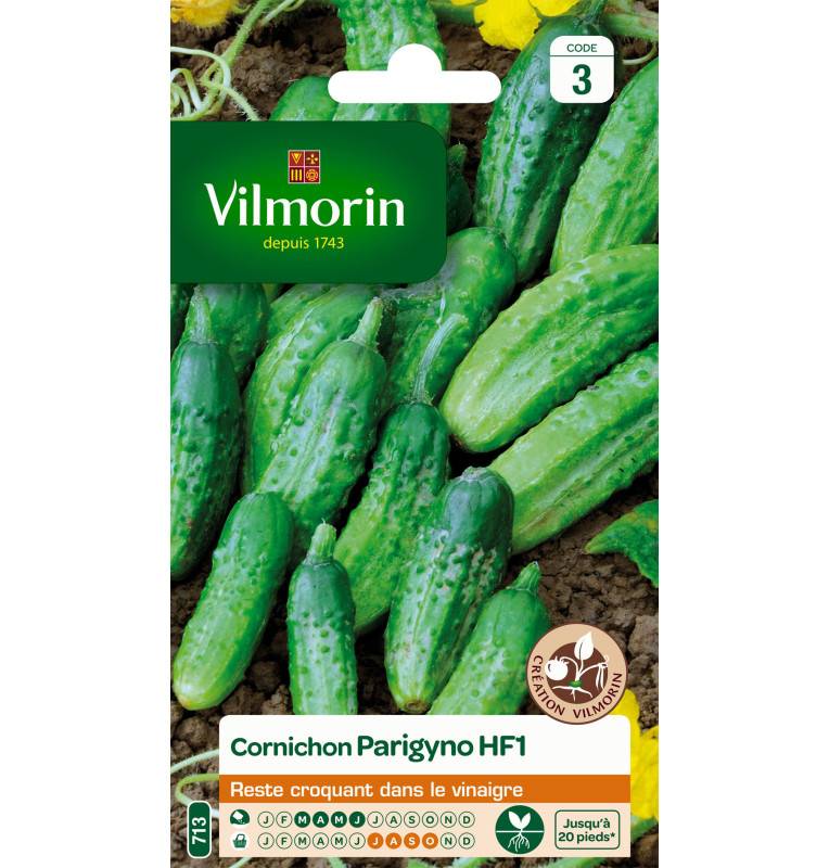 Sachet graines Cornichon Parygino HF1