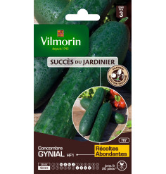 Cucumber Gynial HF1