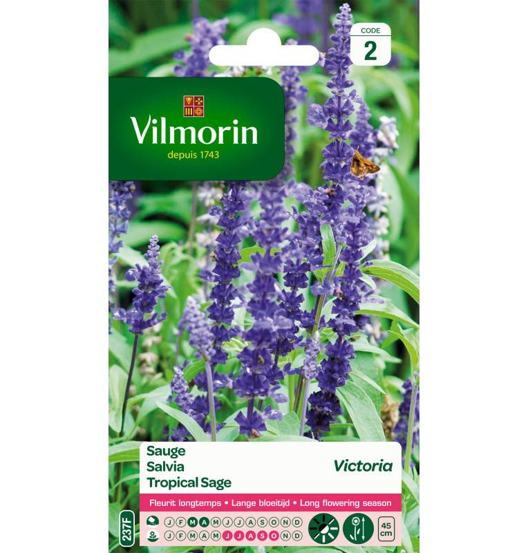 Sachet graines Sauge Bleue Victoria