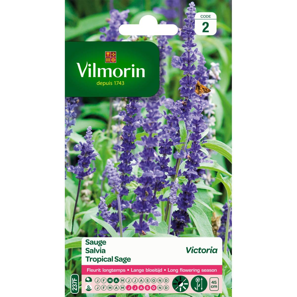 Sachet graines Sauge Bleue Victoria