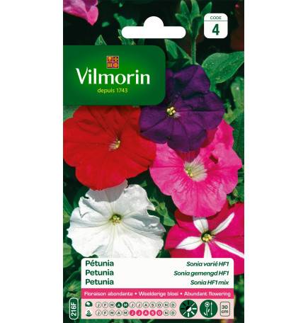 Sachet graines Petunia Sonia varié HF1