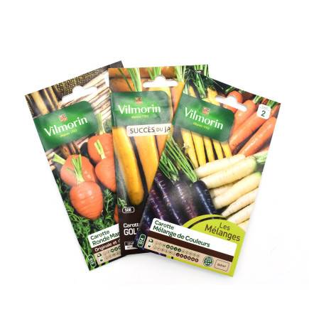 Pack de 3 sachets de graines de carottes originales et multicolores