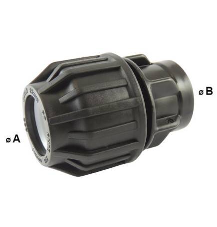 Compression fitting with BSP female thread