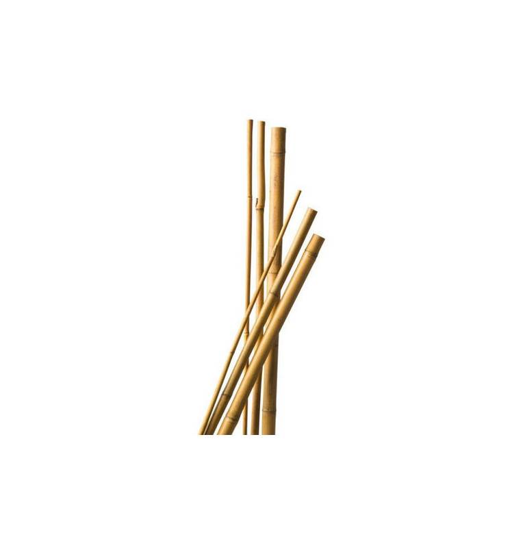 5 bamboo stakes 120 cm diam 6-8 mm