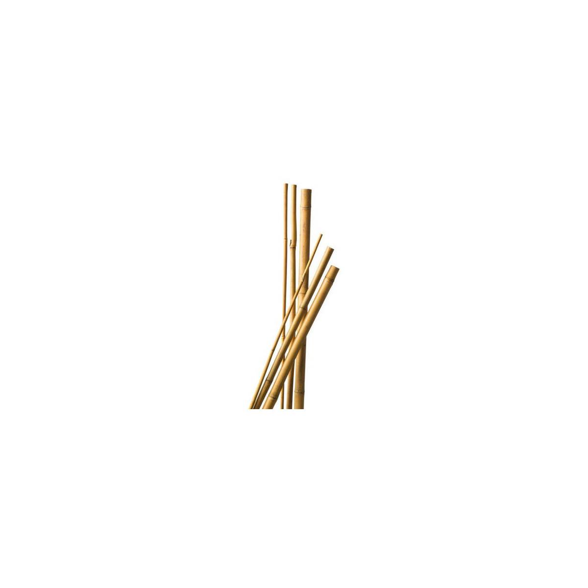 5 bamboo stakes 120 cm diam 6-8 mm