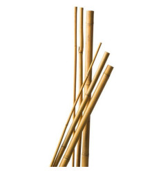 5 bamboo stakes 120 cm diam 6-8 mm