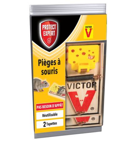 Pièges à souris - 2 tapettes Bois préappâtées