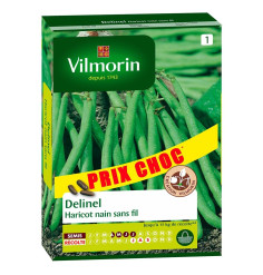 DELINEL Wireless Dwarf Bean Seeds