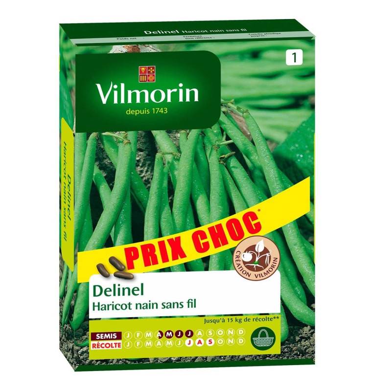 DELINEL Wireless Dwarf Bean Seeds