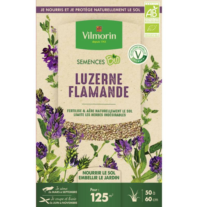 Graines de Luzerne Flamande BIO , boite de 375grs