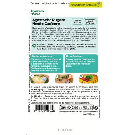 Sachet graines Agastache Rugosa - Menthe Coréenne