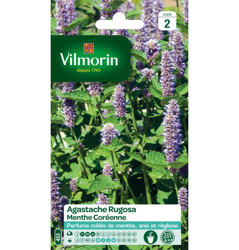 Sachet graines Agastache Rugosa - Menthe Coréenne