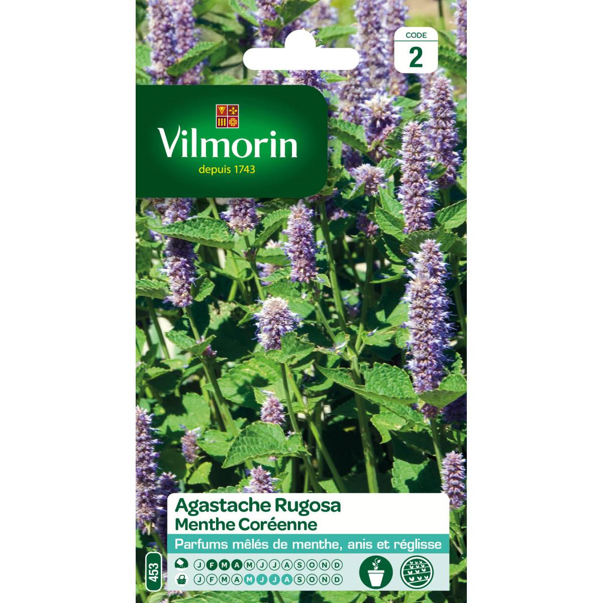 Sachet graines Agastache Rugosa - Menthe Coréenne