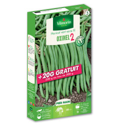 Graines de Haricot Nain Vert Oxinel 2 200grs + 20 grs gratuits