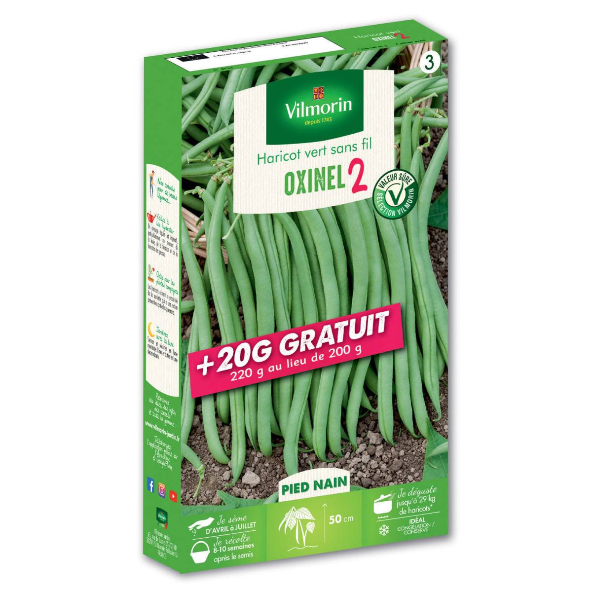 Graines de Haricot Nain Vert Oxinel 2 200grs + 20 grs gratuits