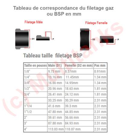 Dado in PVC da 2 pollici