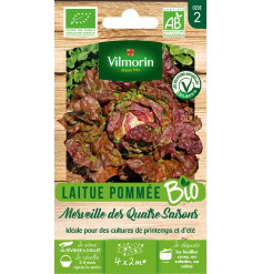 Sachet de graines Laitue Pommée Merveille des 4 Saisons BIO