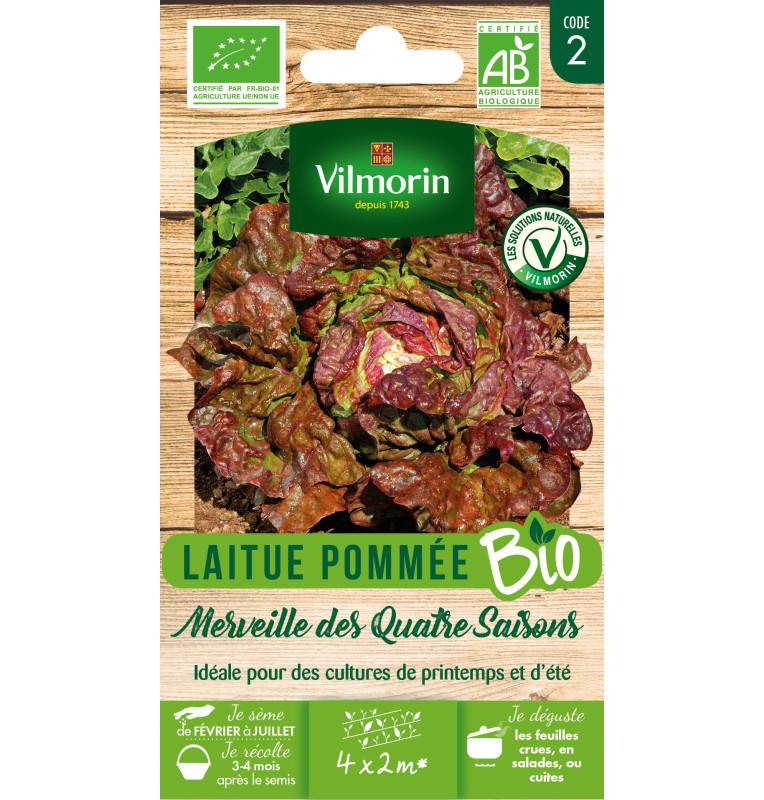 Sachet de graines Laitue Pommée Merveille des 4 Saisons BIO