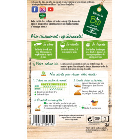 Sachet de graines Laitue Pommée Merveille des 4 Saisons BIO