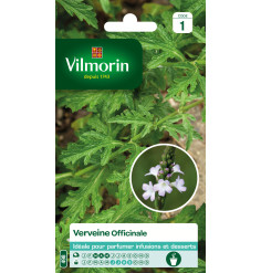 Sachet de graines Verveine Officinale