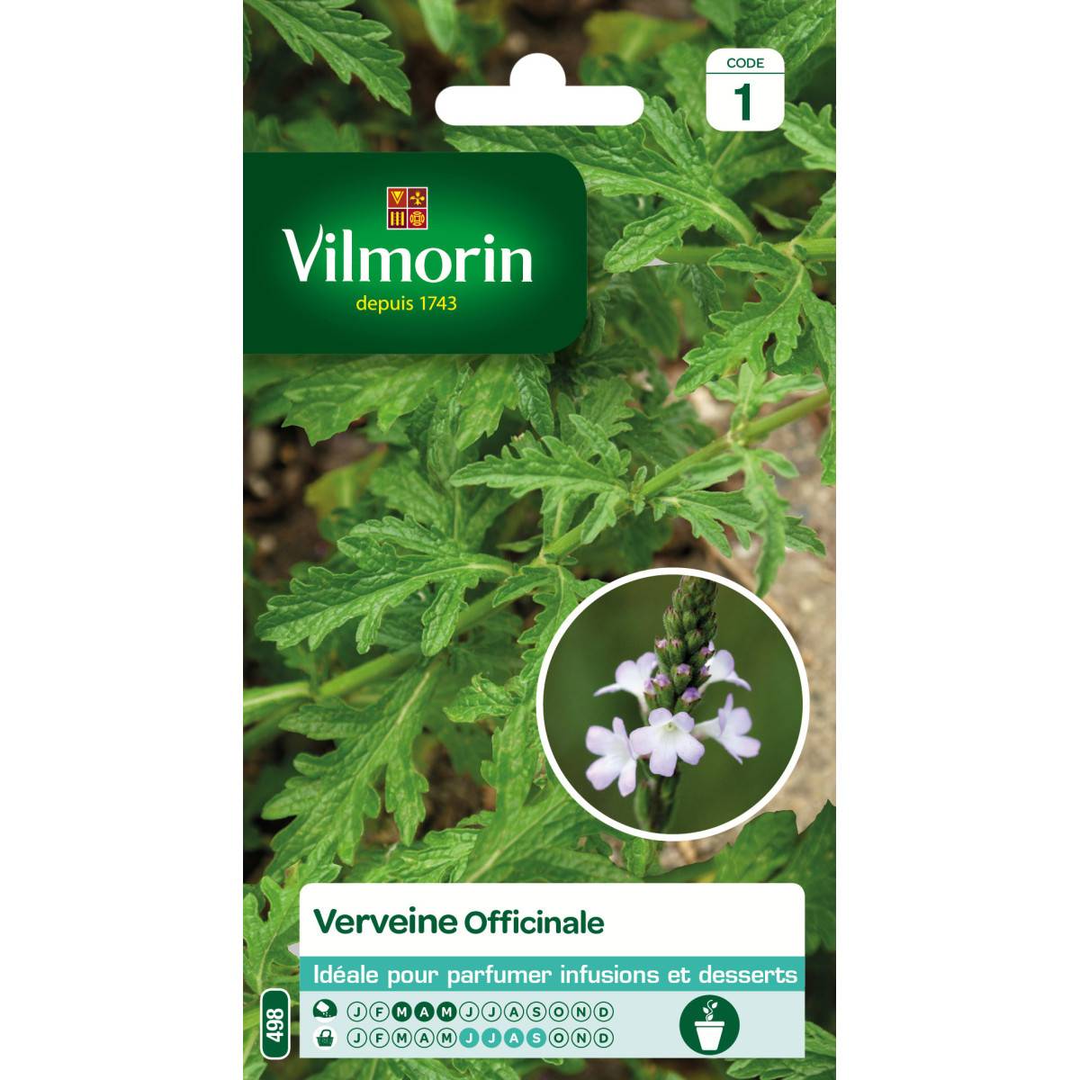 Sachet de graines Verveine Officinale