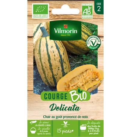 Sachet de graines Courge Delicata BIO