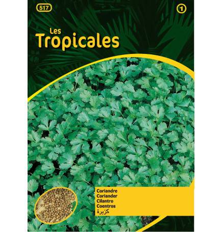 Sachet graines LES TROPICALES - Coriandre cultivée