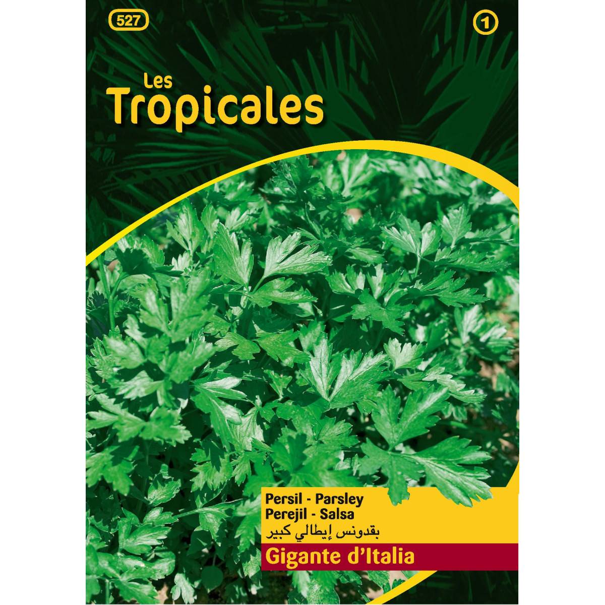 Sachet graines LES TROPICALES - Persil Gigante d'Italia