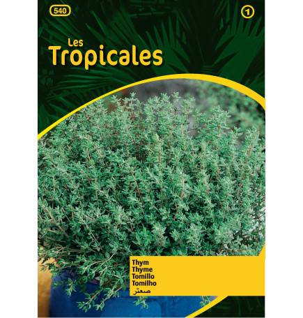 Sachet graines LES TROPICALES - Thym d'hiver