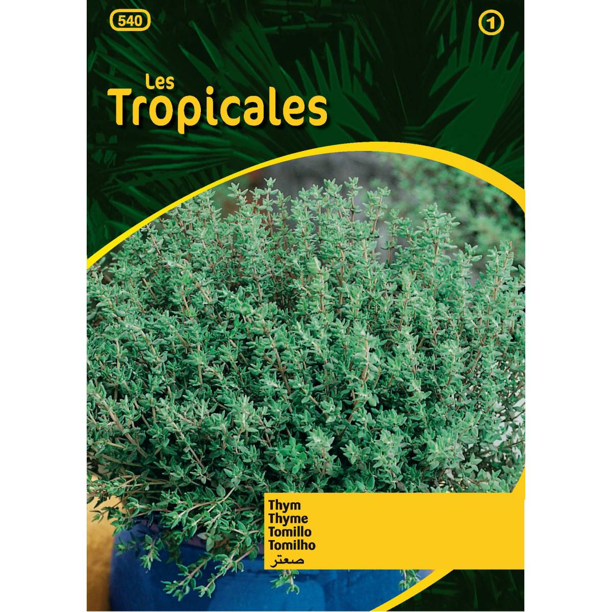 Sachet graines LES TROPICALES - Thym d'hiver