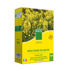 Moutarde blanche, carton de 500grs