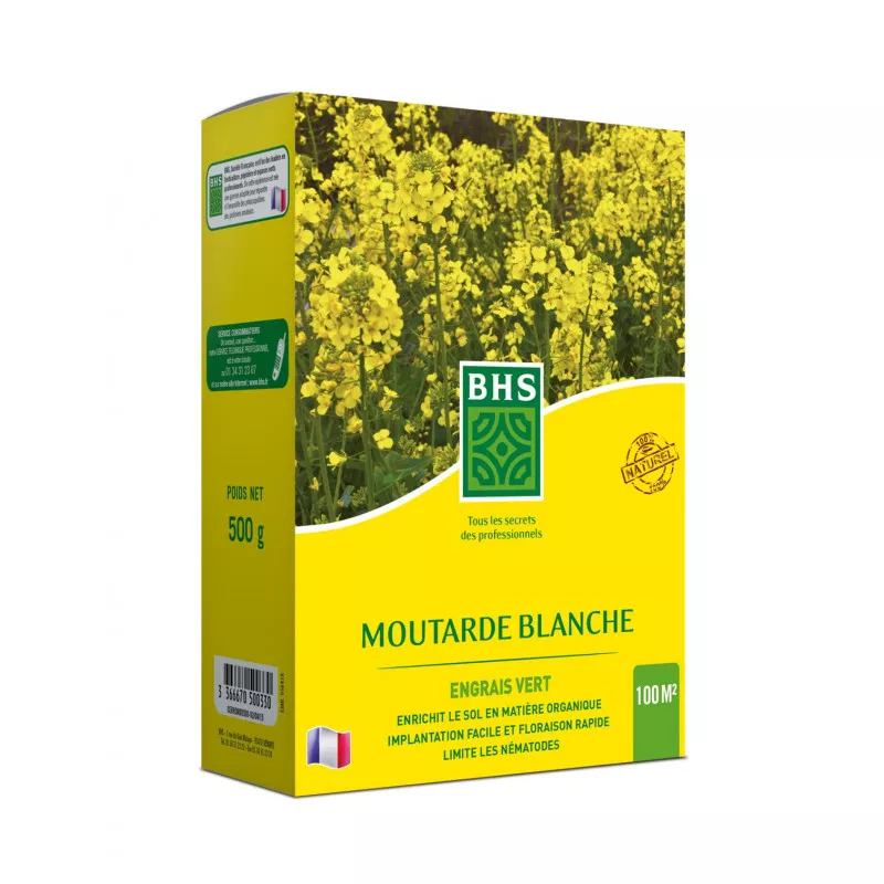 Moutarde blanche, carton de 500grs