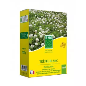 Trefle Blanc BHS , carton de 500grs , 500m²