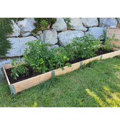 Natural wood vegetable garden square 2000 x 400mm