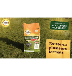 Fertilizante de césped profesional, bolsa de 10 kg