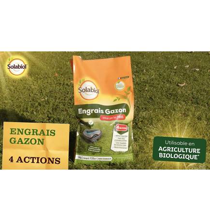 Professional turf fertiliser, 10 kg bag