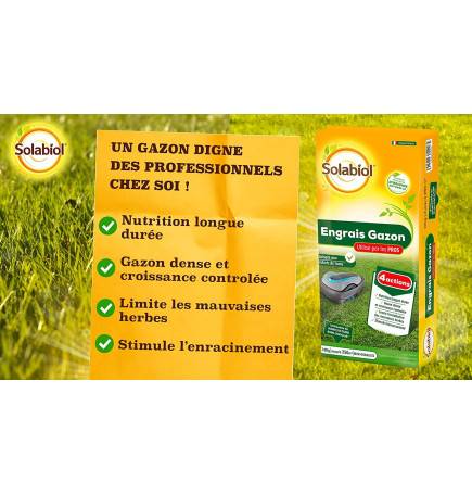 Professional turf fertiliser, 10 kg bag