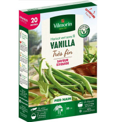 Graines de Haricot vert sans fil VANILLA - 5 mètres