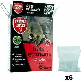Piège à souris plastique Protect Expert (3 pièces)