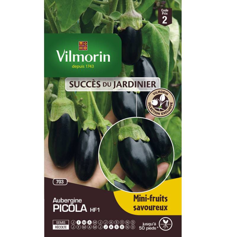 Sachet graines Aubergine PICOLA HF1