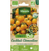 Organic Clementine Tomato seed bag - orange cocktail