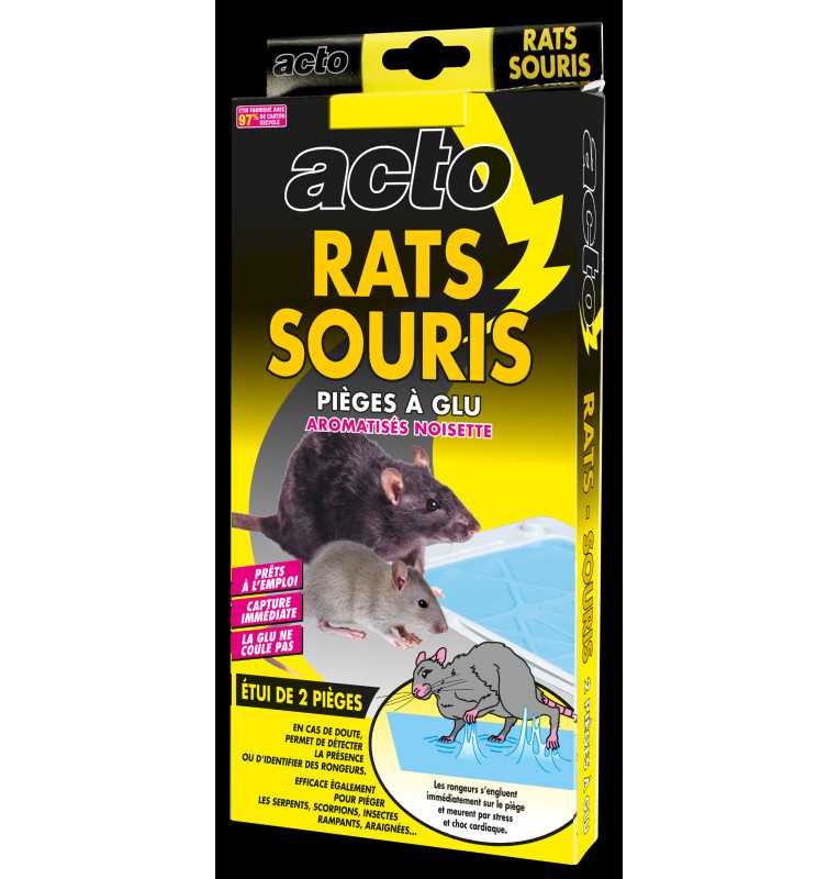 RATS & SOURIS 10 pièges