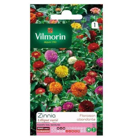 Fiche produit Zinnia Lilliput varié