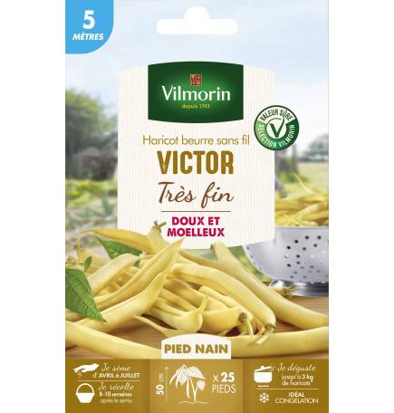 Sachet graines Haricot Beurre sans fil VICTOR - 5 mètres