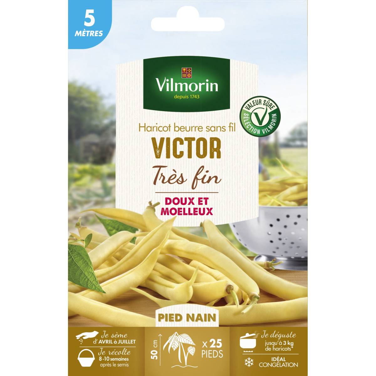 Sachet graines Haricot Beurre sans fil VICTOR - 5 mètres