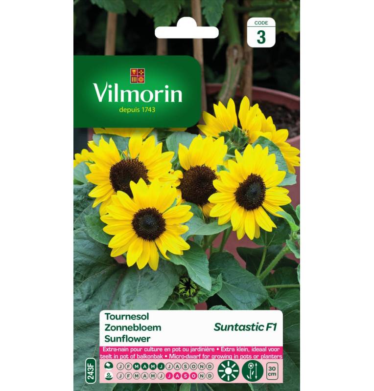 Sachet graines Tournesol Suntastic F1 - Helianthus annuus