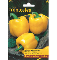 Sachet graines LES TROPICALES - Poivron Quadrato d'Asti Giallo