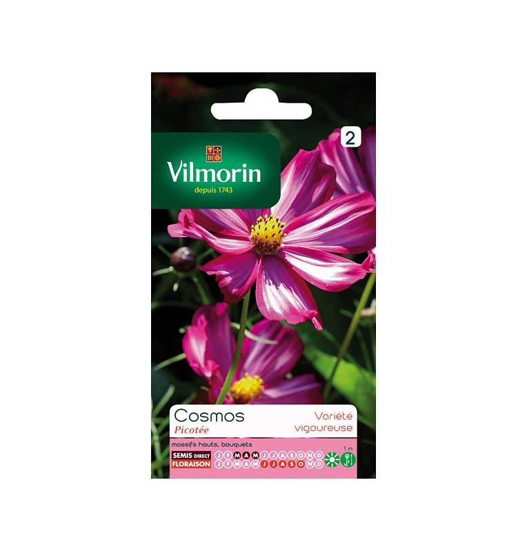 Sachets graines Cosmos Picotée Vilmorin